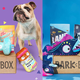 $19 For Your First Month of BarkBox | Amazon